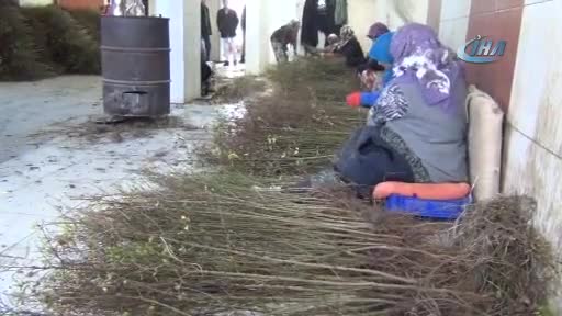Türkiye'nin çöğürünü Bursa İnegöl karşılıyor