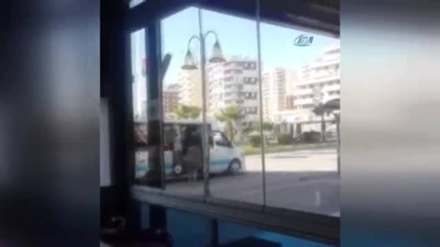 Köpeğin dolmuşa binme çabası güldürdü