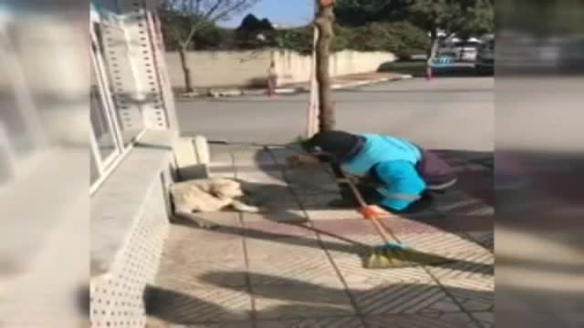 Sokak köpeğine serenat