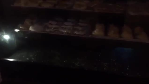 İstanbul'da fareli pastane kapatıldı!