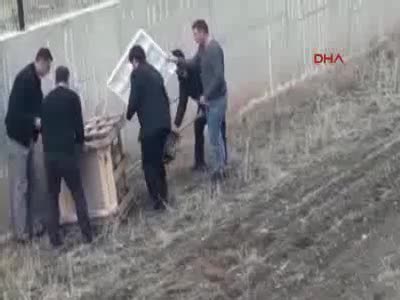 Kız öğrenci yurdunun bahçesine vaşak girdi