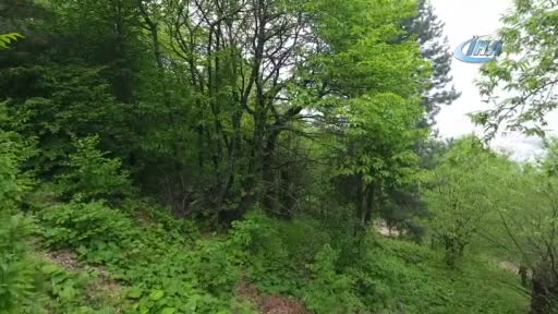 Bursa'da şekerlemecilerin kestane alımı yarı yarıya düştü