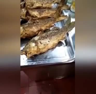 Kızarmış balık tabakta canlandı!