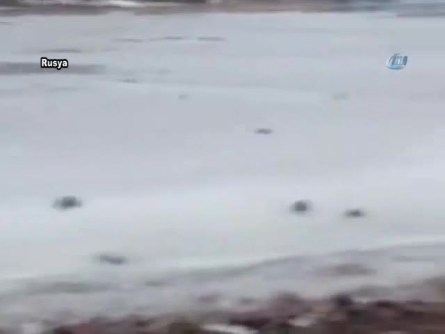 Donmuş göldeki köpeği kurtardı