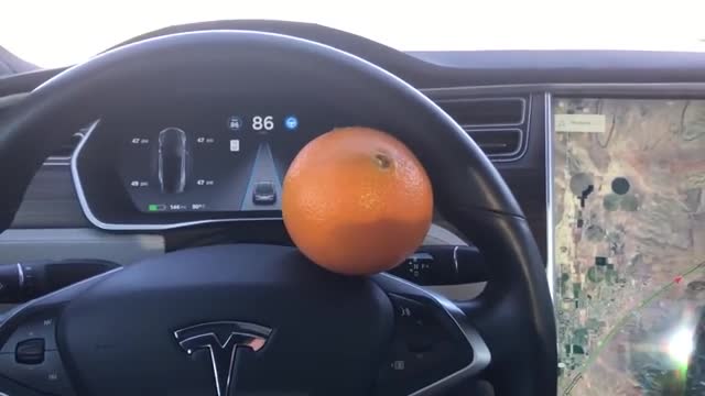 Dünya Tesla'yı portakalla kandıran adamı konuşuyor