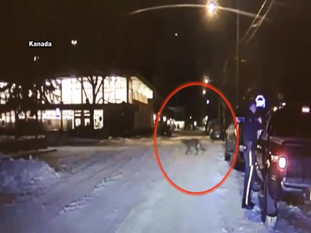Kameraya yansıyan görüntü ürküttü