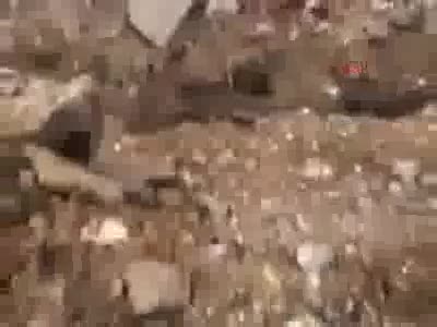 Bursa'da telef olan hayvanların atık poşetlerine konularak gömülmesine tepki