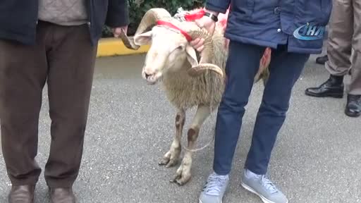 Bursa'da Zeytin Dalı Harekatı'na katılan askerler için kurban kesildi