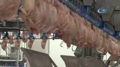 Türkiye'den Japonya'ya 500 ton beyaz et