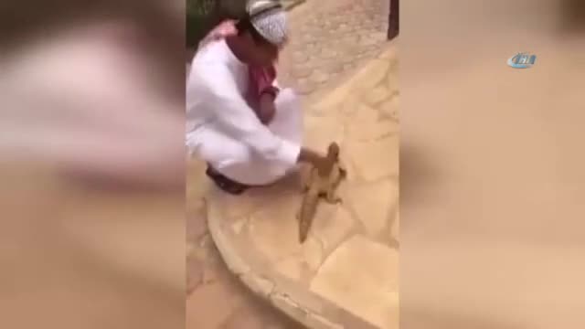 Oyuncak sandı, gerçek çıkınca hopladı