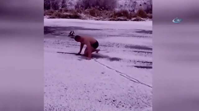 Köpeği kurtarmak için ölümü göze aldı