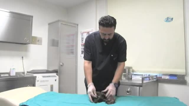 Midesinden 2 kilo 850 gram ağırlığında saç ve sakız yumağı çıktı