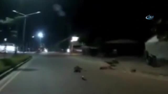 Aşırı süratli motosiklet polise çarptı