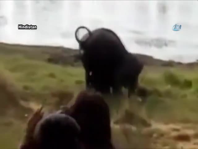 Hindistan'da filin saldırısına uğrayan adam hayatını kaybetti
