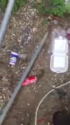 Mersin Tarsus'ta köpeğe tecavüz eden şahıs suçüstü yakalandı