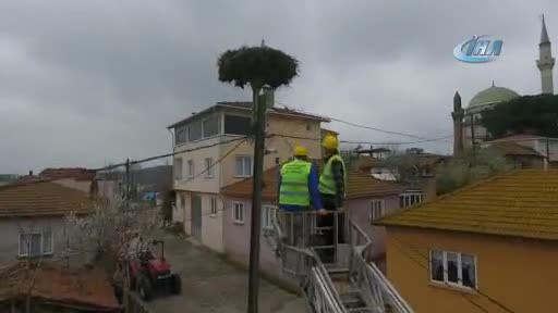Bursa'da leylek yuvalarında bahar temizliği