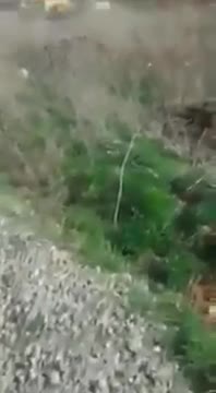 Kayseri'de eski imam köpeğe tecavüz ederken yakalandı