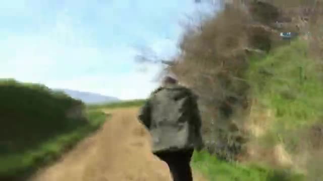 İnekleri görünce röportajı yarıda kesip kaçmaya başladı