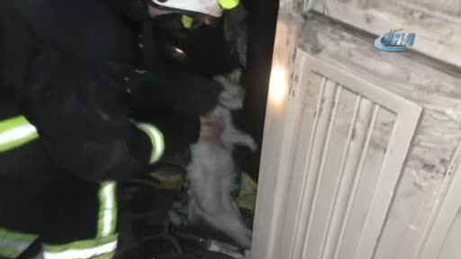 Bursa'da yangında 4 kişi dumandan etkilendi, 3 kedi öldü!