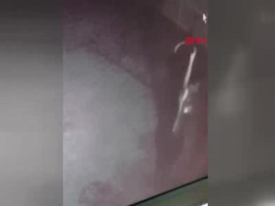 Yavru köpeği işkence yaparak öldürdü
