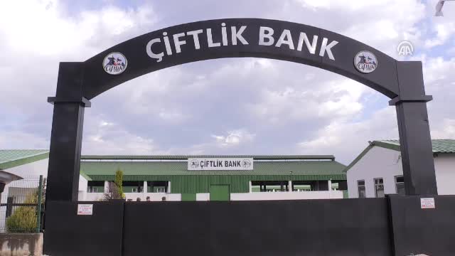 Tüketici örgütlerinin temsilcileri: "Bedava peynir fare kapanında olur"