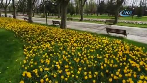 Bursa'da bahar görsel şölene dönüştü!