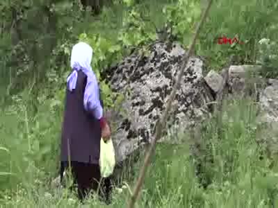 Köyü çekirgeler istila etti! Yardım bekliyorlar...