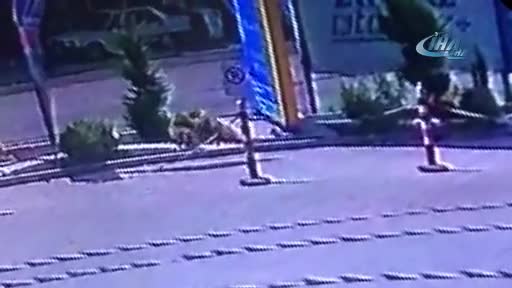 Bursa'da köpek hırsızı kameralara yakalandı