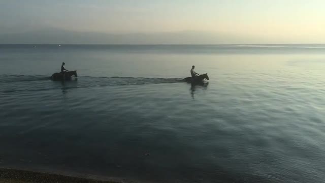 Bursa'da atları denize sokup serinlettiler