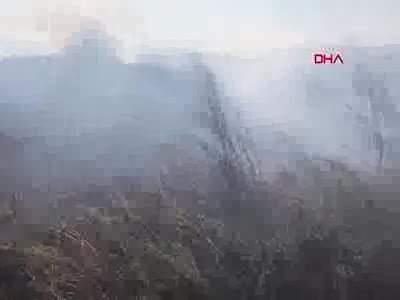 Bursa İznik'te sazlık yangını