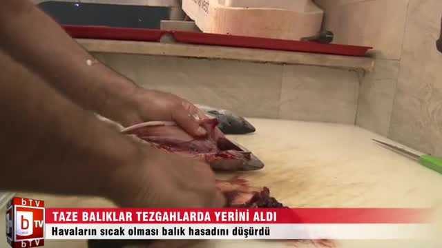 Bursa'da balık tezgahları tam dolmadı