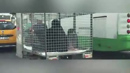 Motosikletin arkasına bağladığı kafeste kadın taşıyan adam gündemi sarstı!