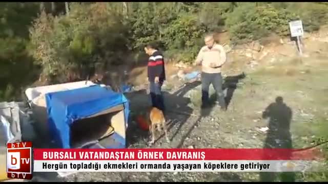 Bursa'dan topladığı ekmekleri dağdaki hayvanlara götürüyor (ÖZEL HABER)