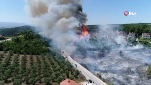 Bursa'da yanan 36 hektar alan ağaçlandırılacak