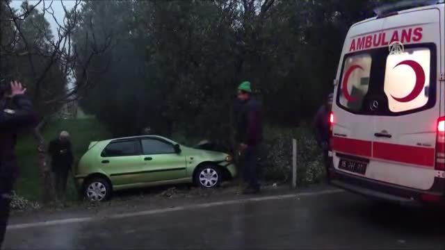 Bursa'da otomobil zeytin ağacına çarptı: 1 yaralı