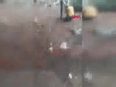 Ormanda genç kıza işkence! Harekete geçildi