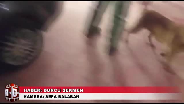 Bursa'da arabanın lambasına sakladıkları uyuşturucu ile yakalandılar