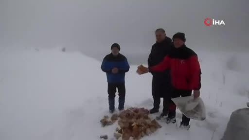 Bursa'da sokak hayvanları için 7 yıldır ekmek topluyorlar