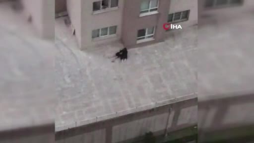 Bursa'da 4'üncü kattan düşen genç kızın başında ağlayan sevgilisi müebbetle yargılanacak