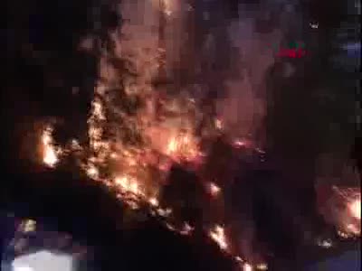Bursa'da jandarmanın dikkati sayesinde orman yangını söndürüldü
