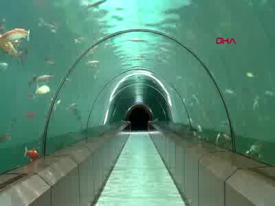 Bursa'daki tünel akvaryuma yoğun ilgi