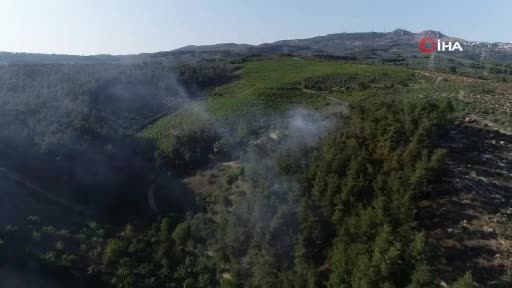Bursa'da orman yangını! 20 dönüm alan küle döndü