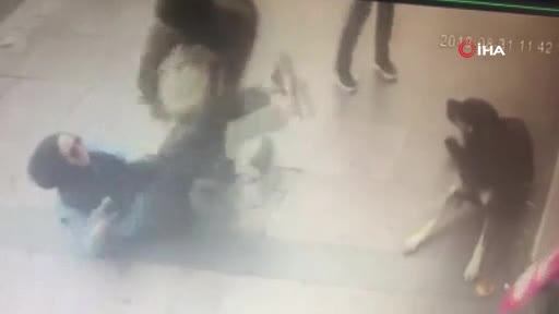 Turist kadın sevdiği köpek tarafından ısırıldı