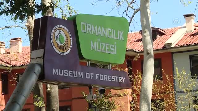 Bursa'nın ormancılık müzesi restore edilecek