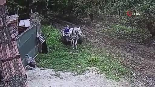 Bursa'da hırsızlar kazanları at arabasıyla böyle çaldı