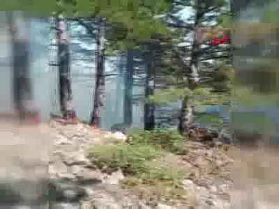 Bursa Büyükorhan'da orman yangını