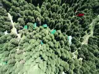 Bursa Uludağ Orman Köşkleri, bayram tatilinde yüzde 100 doldu