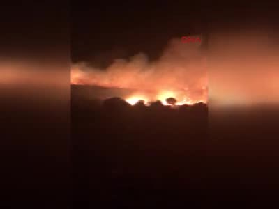 İzmir'de yangın paniği
