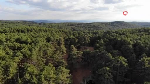 Bursa'nın ormanları drone ile tespit edilip gençleştiriliyor