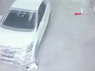 Otomobilin 2 köpeği ezdiği an kamerada